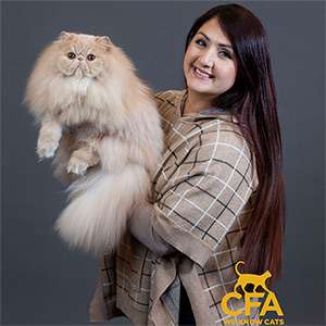 Cat News